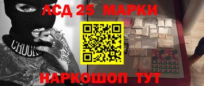 шишки Кандалакша