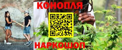 шишки Кандалакша