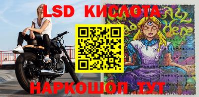 шишки Кандалакша
