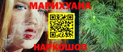 шишки Кандалакша