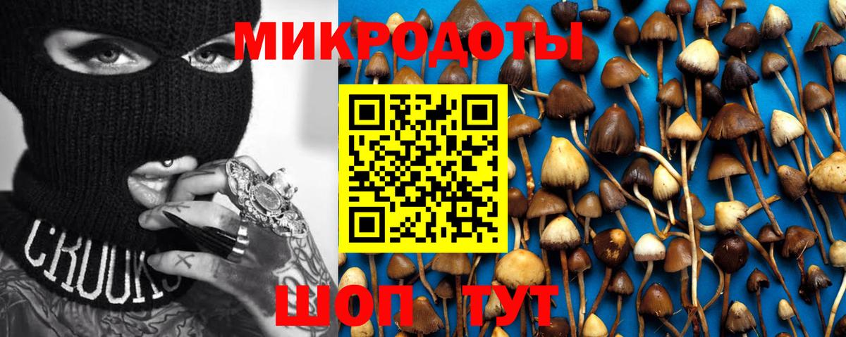 Магадан  Галлюциногенные грибы прущие грибы  Псилоцибиновые грибы Cubensis  Вход с VPN 