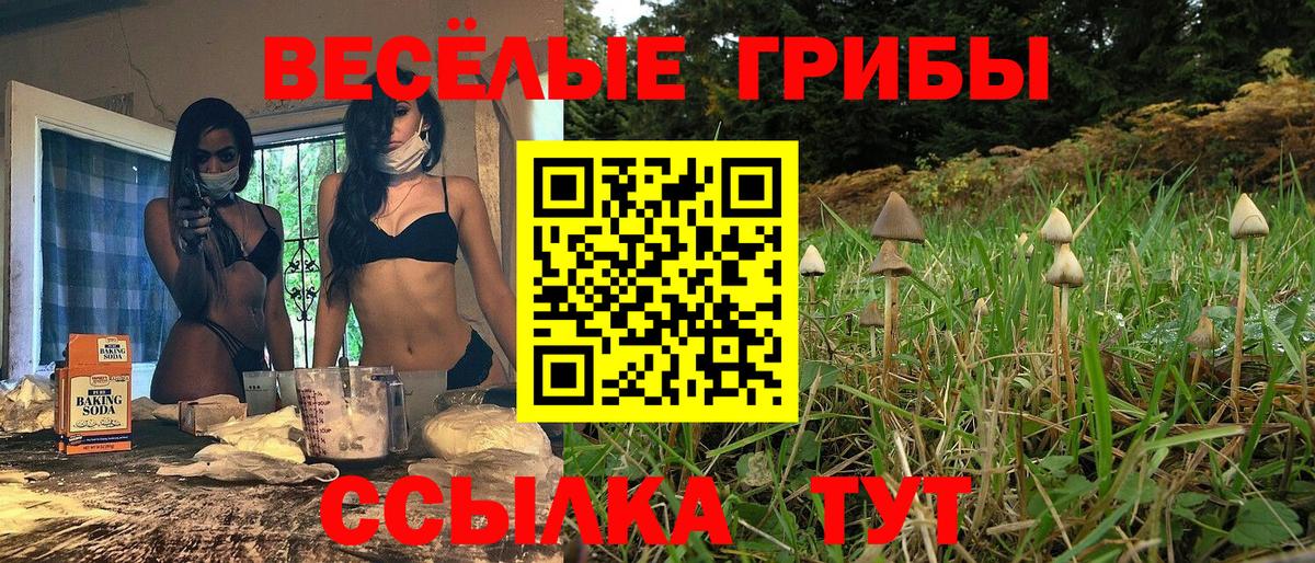 Галлюциногенные грибы мухоморы Магадан